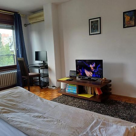 Apartment Student City, Wifi 300Mbs Белград Экстерьер фото